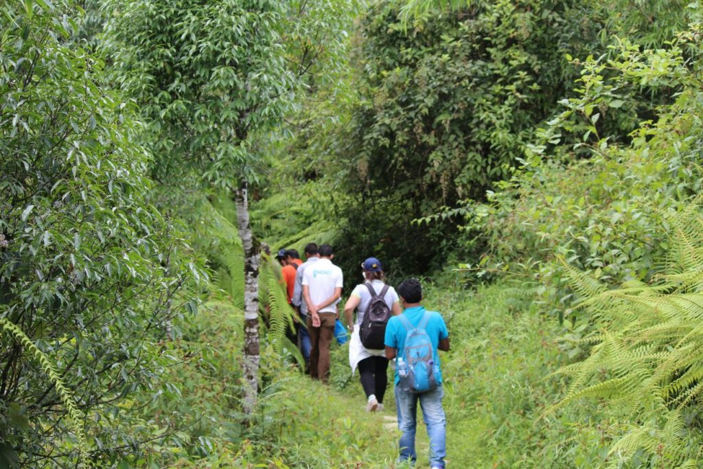 Camping in riverside Tabakoshi Darjeeling