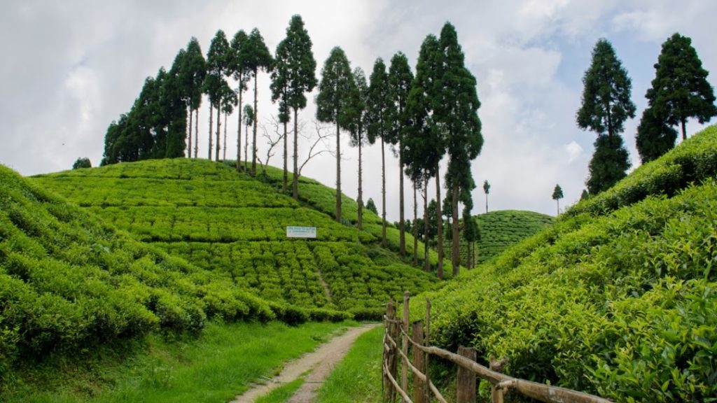 Gopal Dhara sightseeing