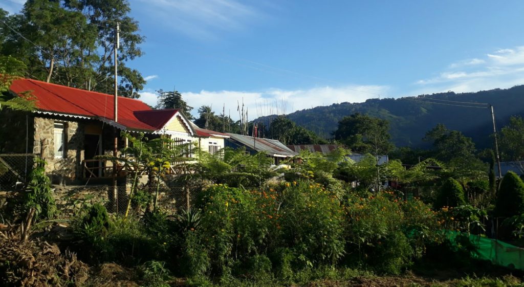 Tabakoshi Tea village home stay.