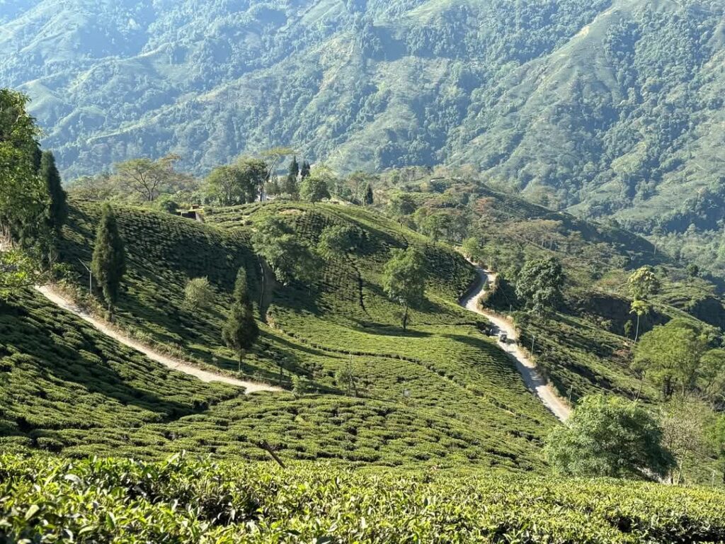 Monsoon tour tabakoshi