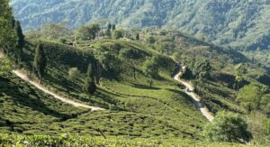 Tabakoshi travel guide 