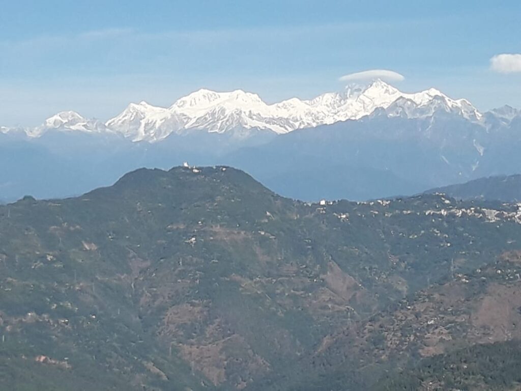 Peshok tea garden homestay