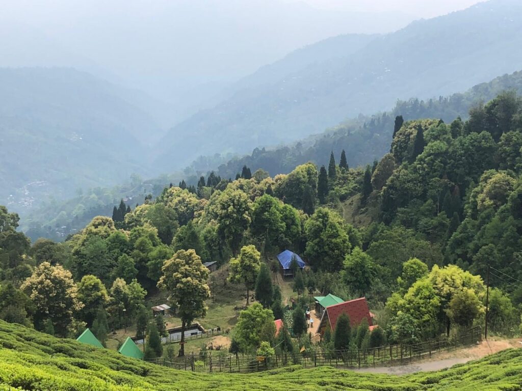 Summer camp in offbeat Darjeeling